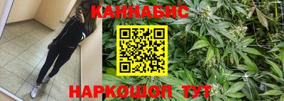 Альфа ПВП Камышлов